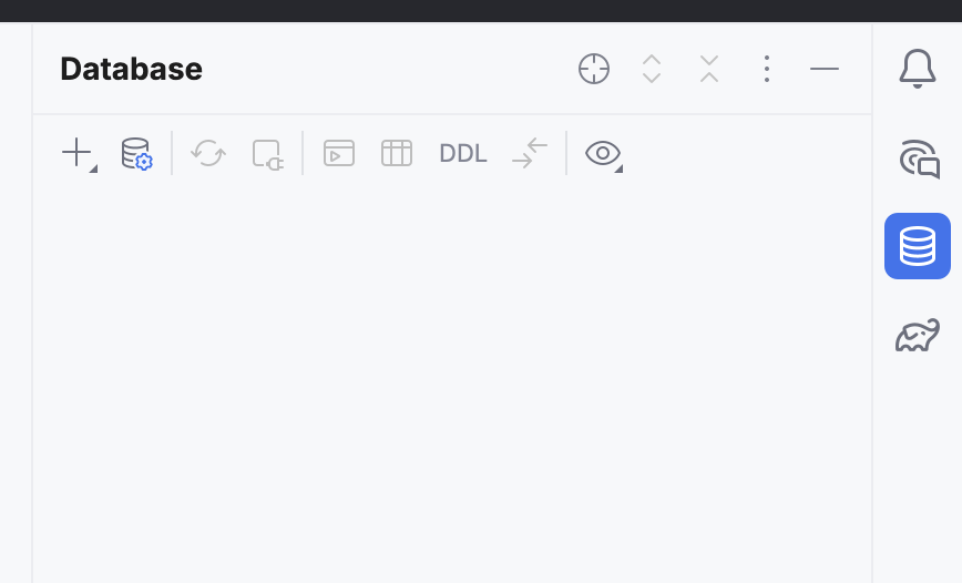 Database IntelliJ