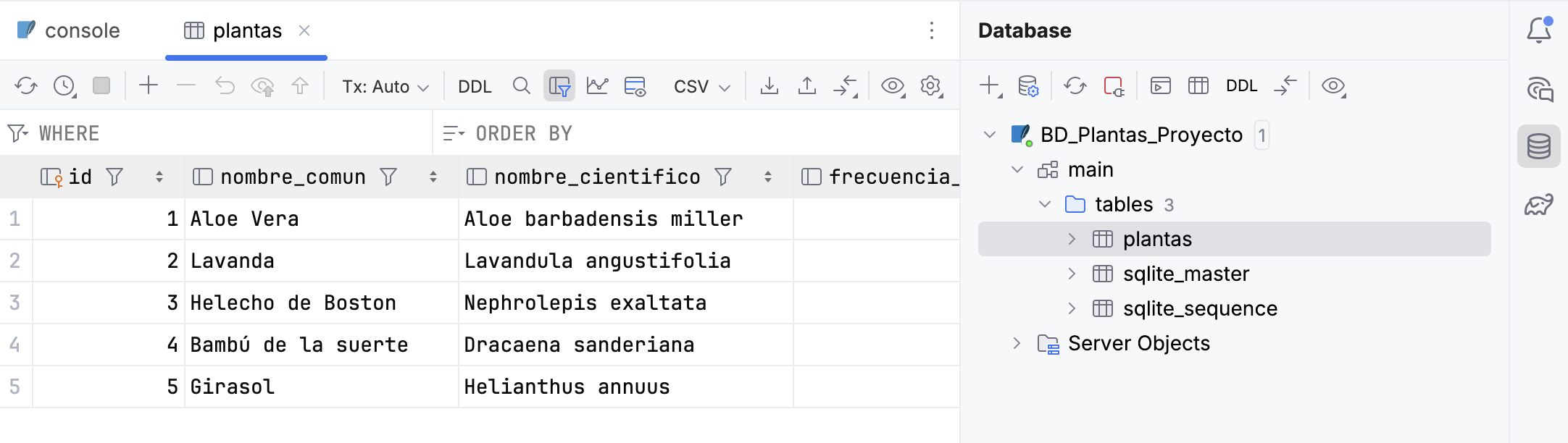 Visor de datos de la tabla en IntelliJ